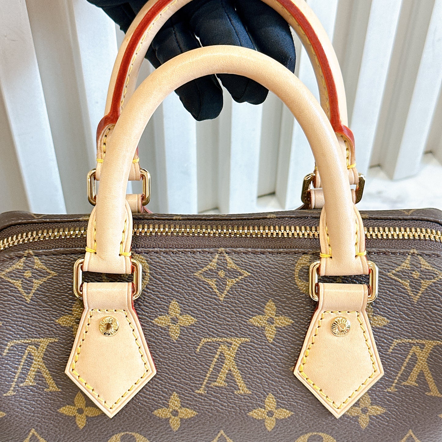 LV Monogram Speedy 20 with Beige Strap