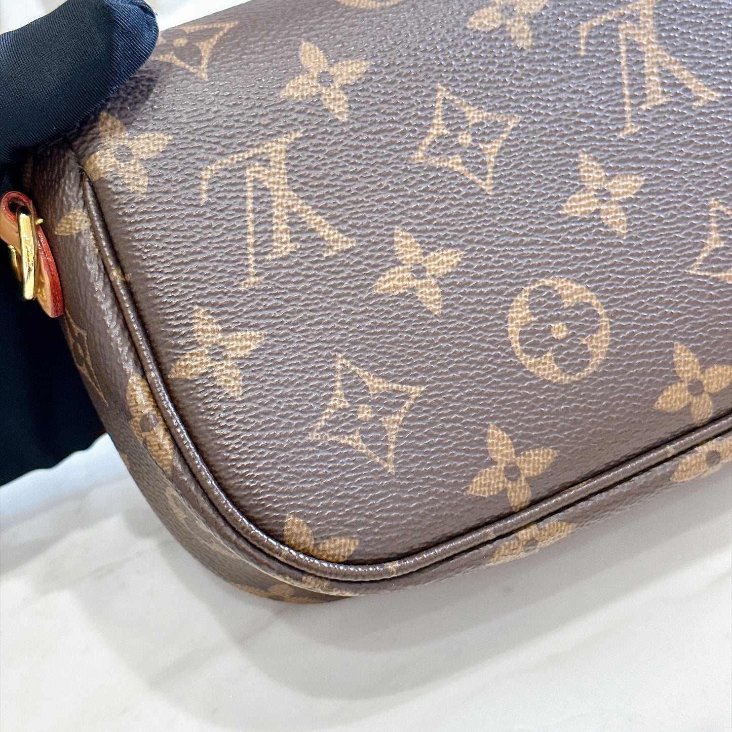 LV Monogram Ivy