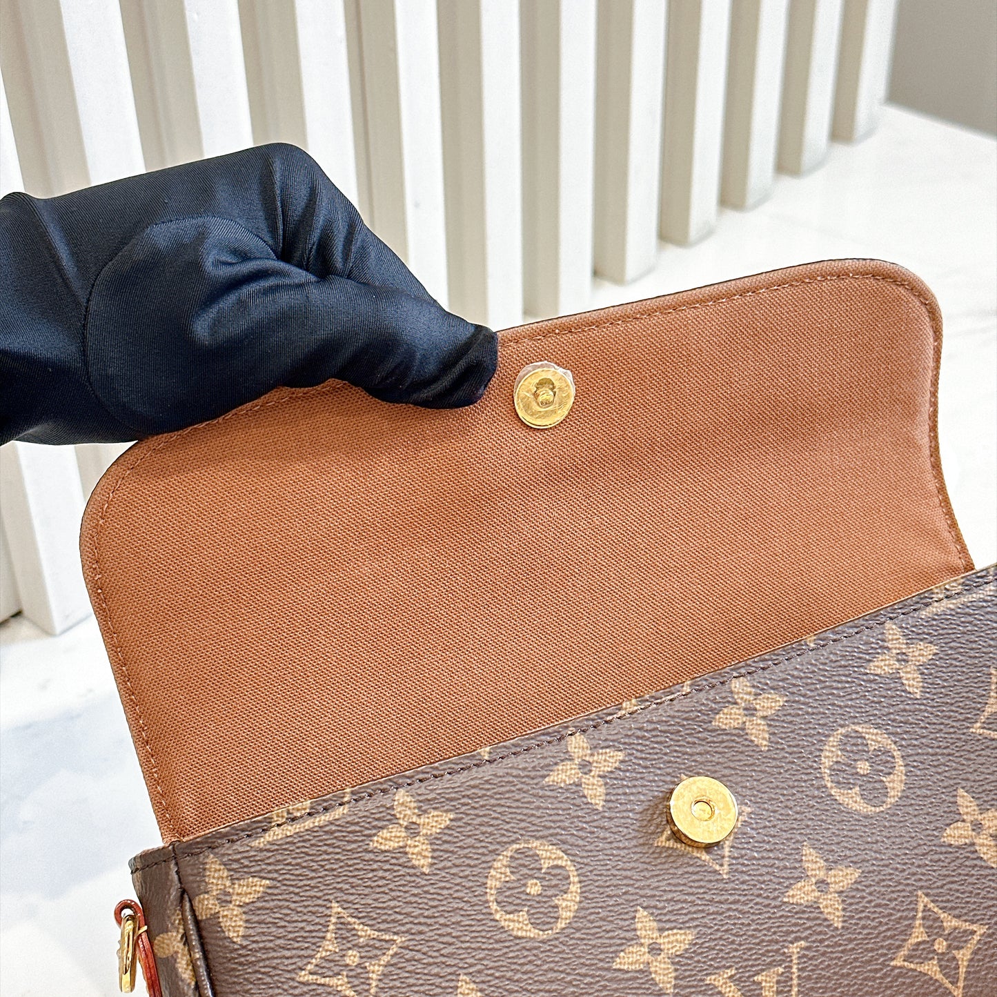 LV Monogram Ivy