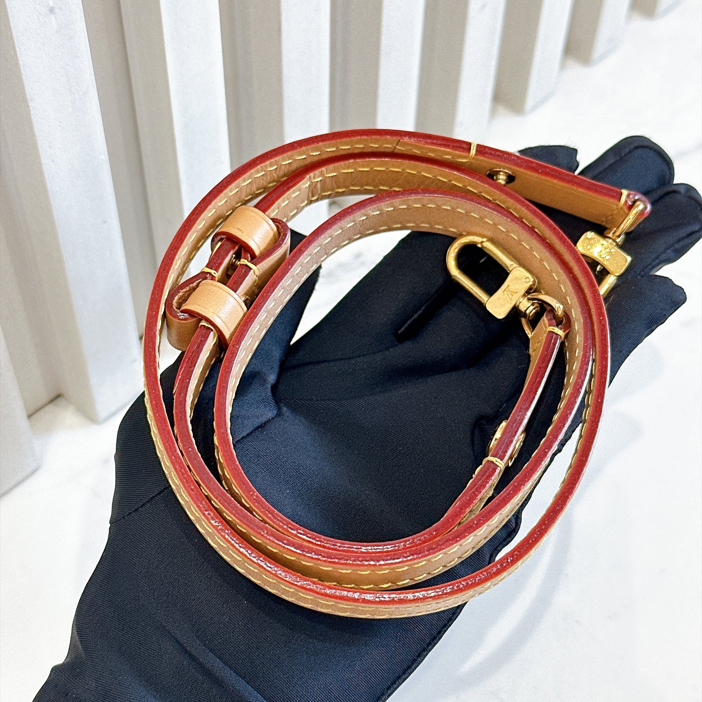 LV Monogram Ivy