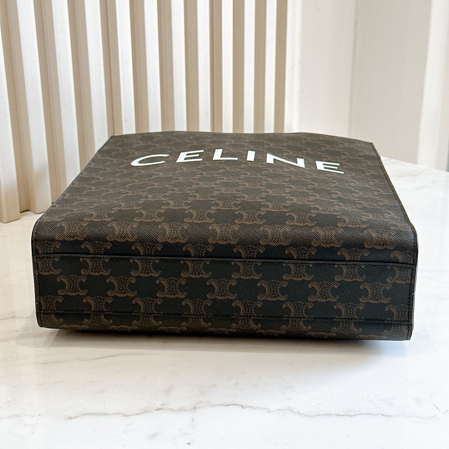 Celine Triomphe Cabas Vertical in Medium