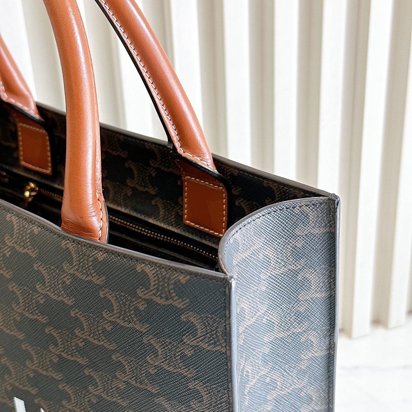 Celine Triomphe Cabas Vertical in Medium