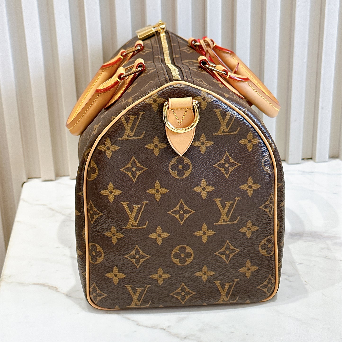 LV Speedy Soft 30 Crafty