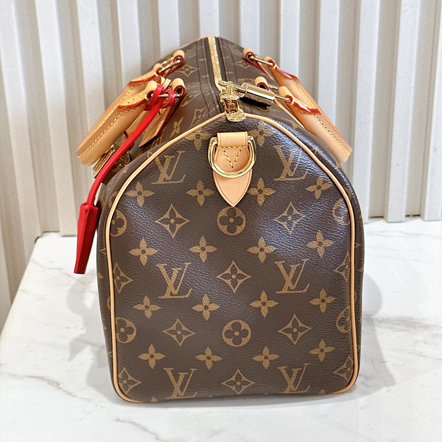 LV Speedy Soft 30 Crafty