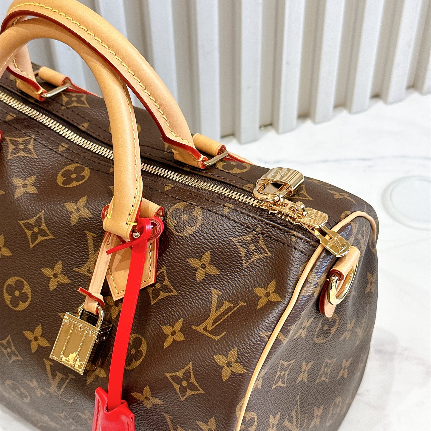 LV Speedy Soft 30 Crafty
