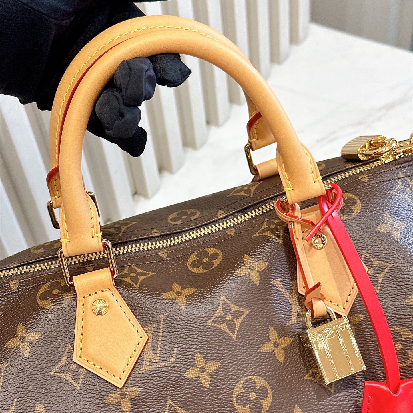 LV Speedy Soft 30 Crafty