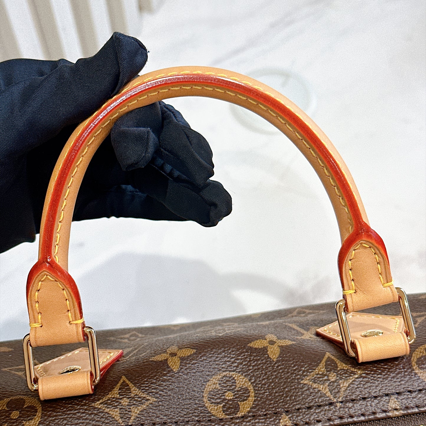 LV Speedy Soft 30 Crafty