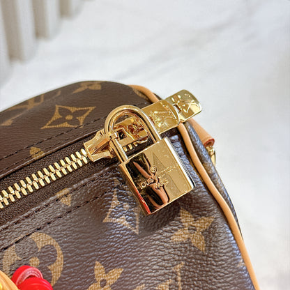 LV Speedy Soft 30 Crafty