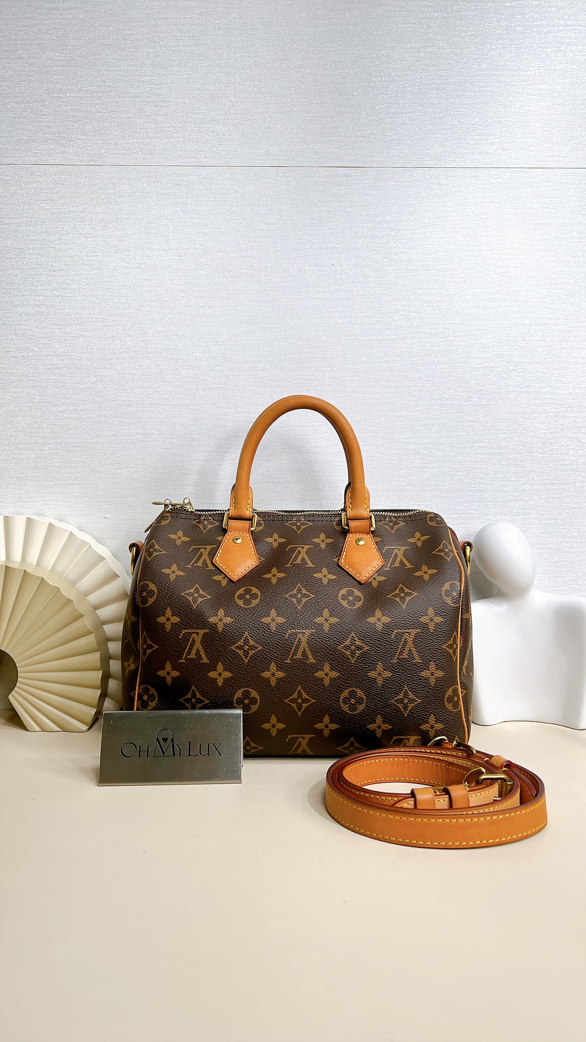 LV Monogram Speedy 25 Bandouliere