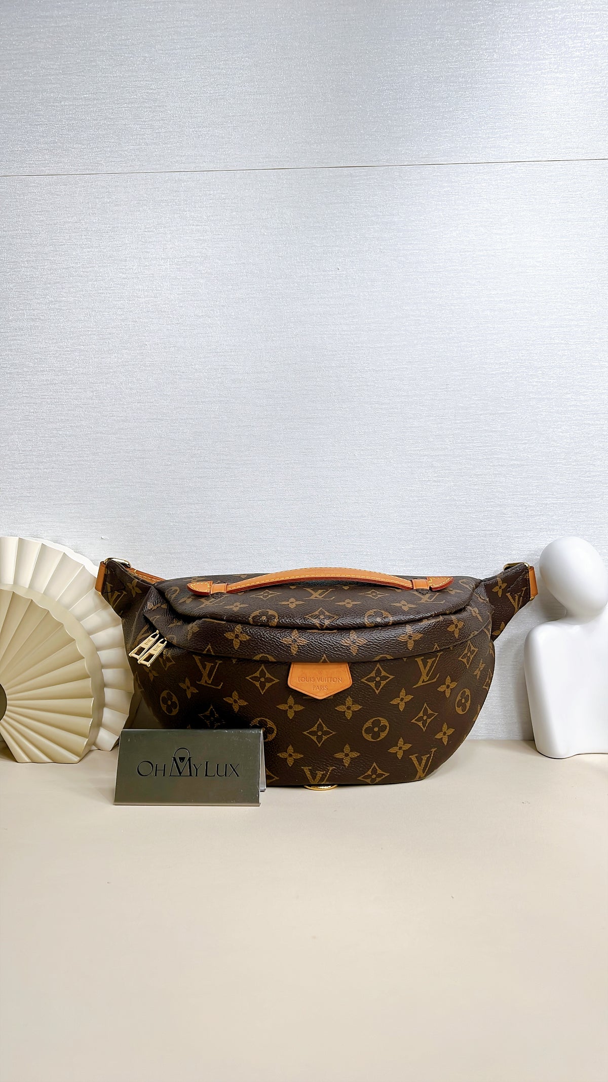 LV Monogram Bumbag