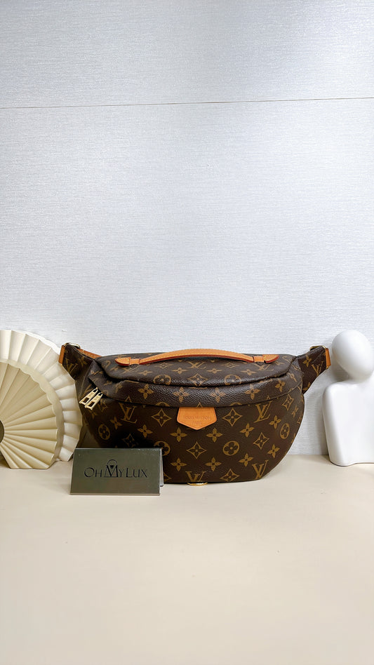 LV Monogram Bumbag