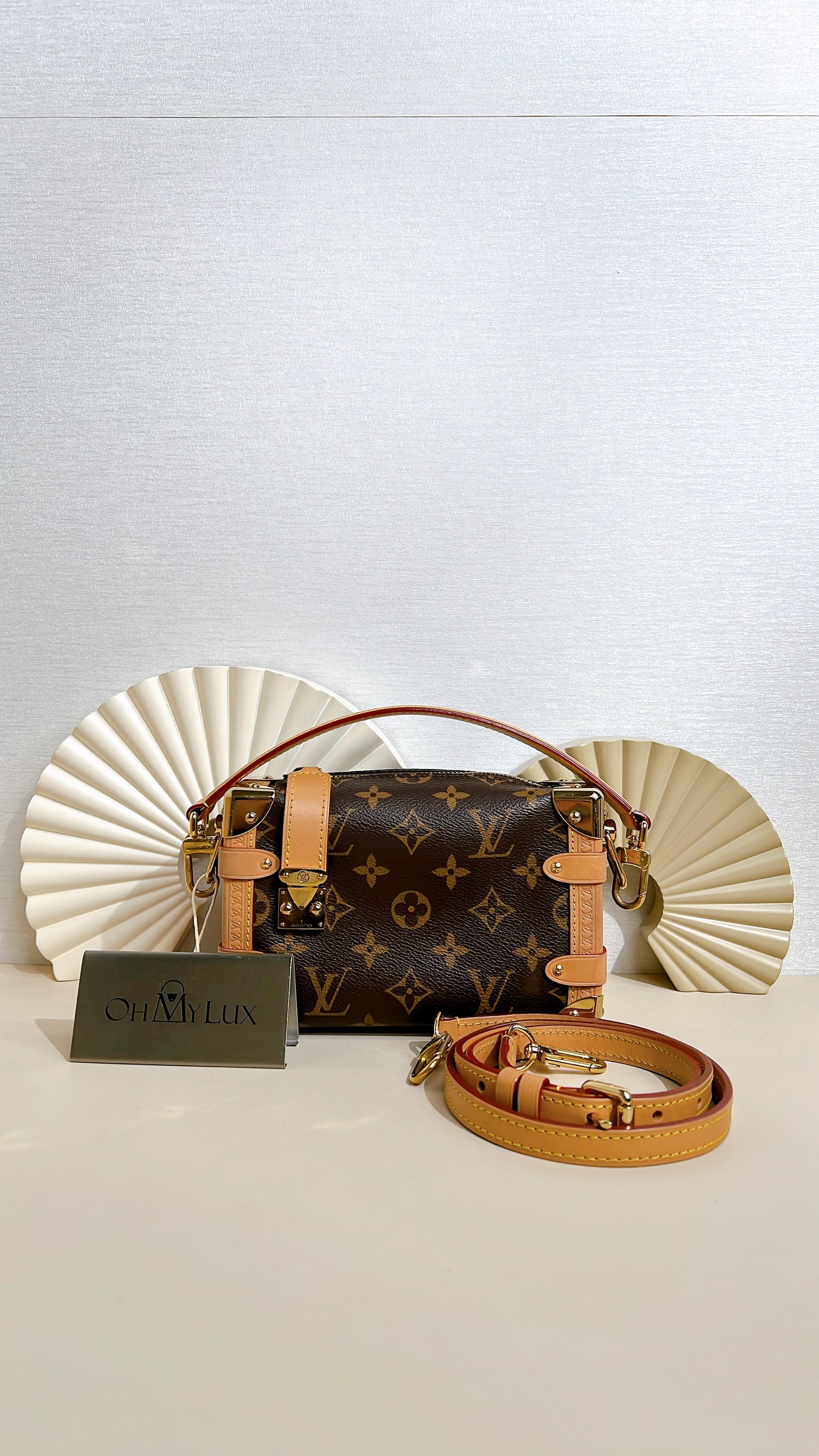 LV Monogram Side Trunk PM