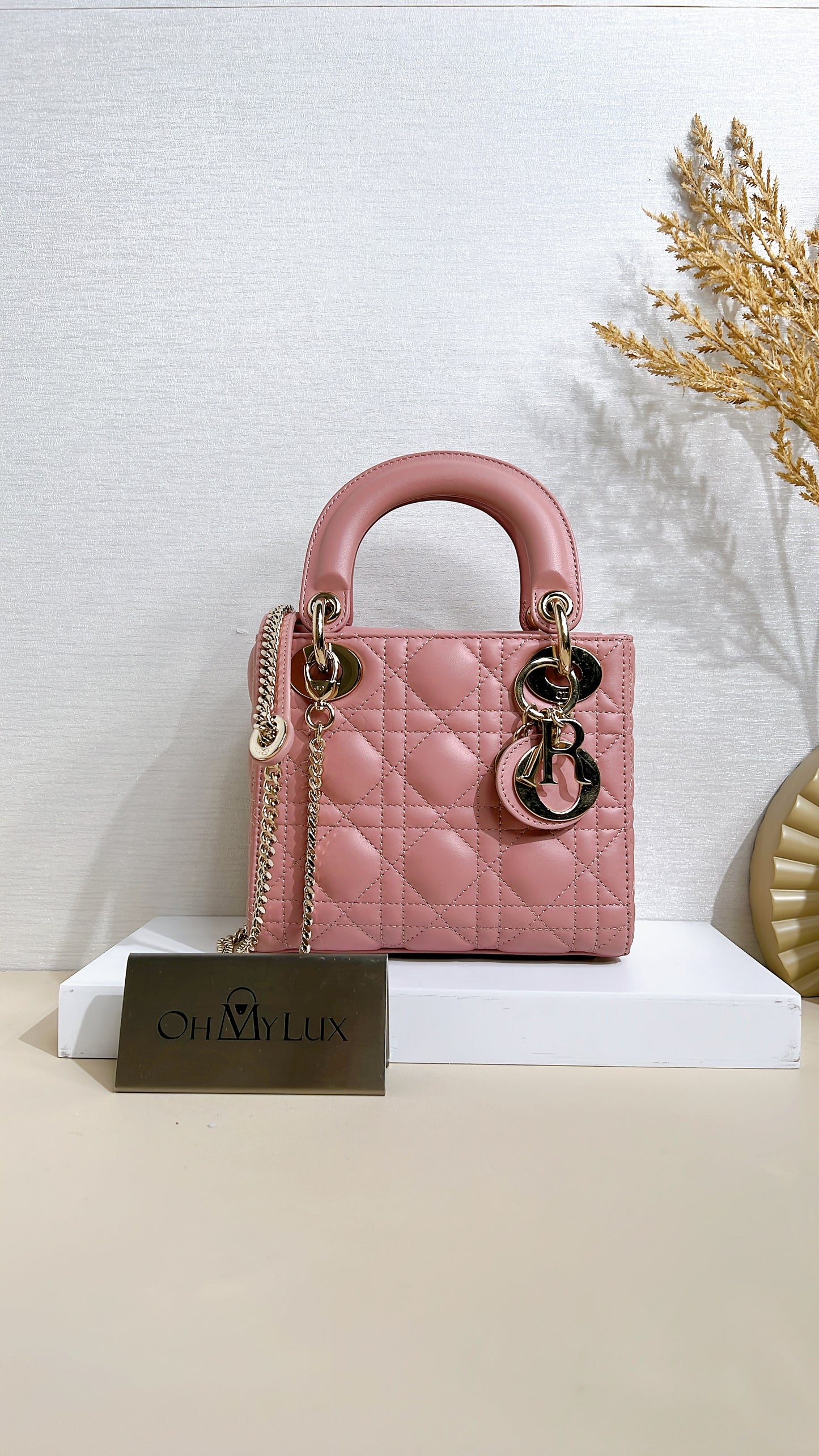 Mini Lady Dior in Pink GHW
