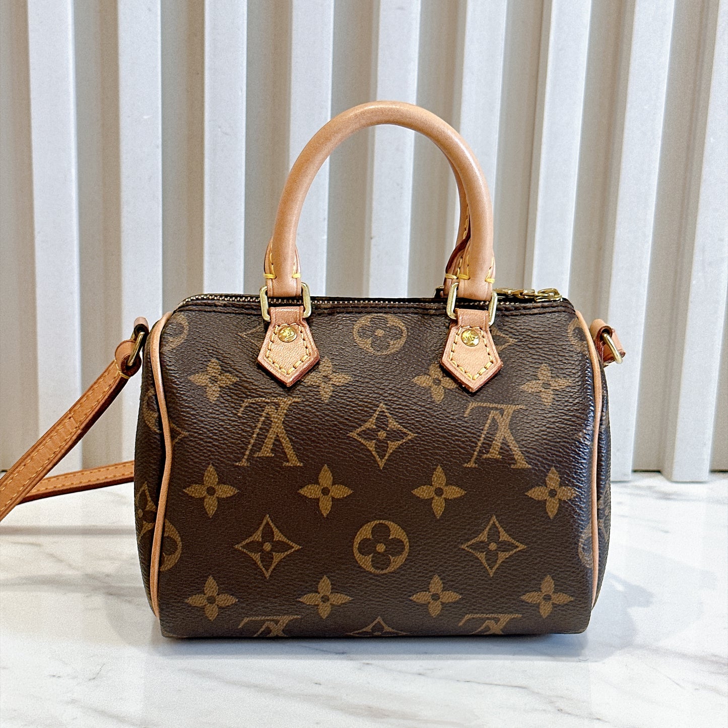 LV Monogram Nano Speedy