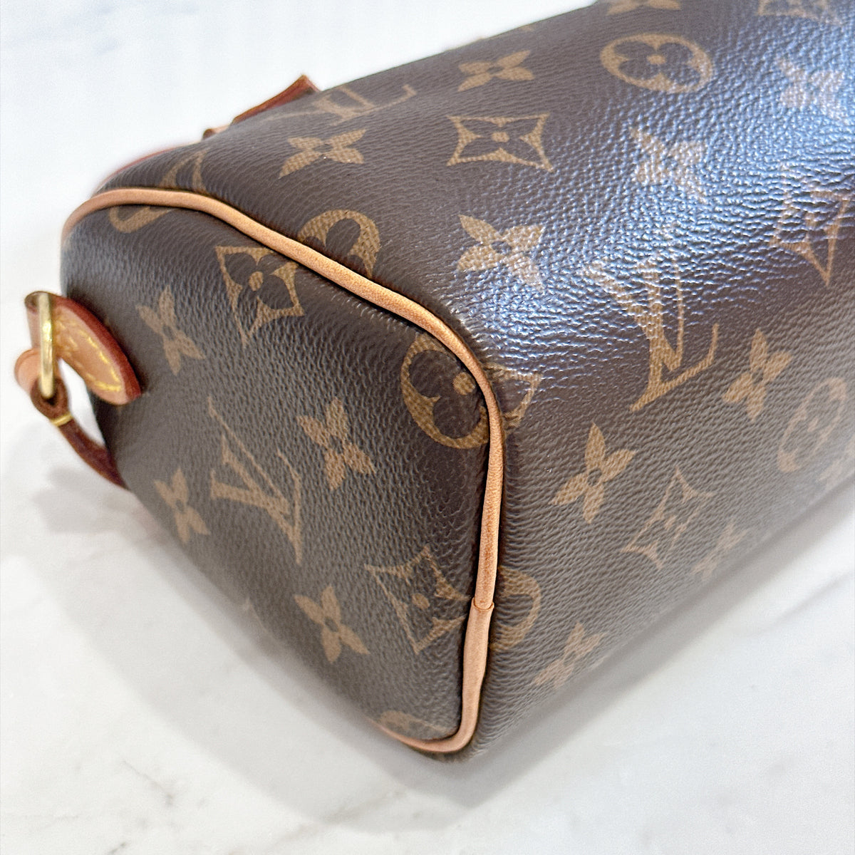 LV Monogram Nano Speedy