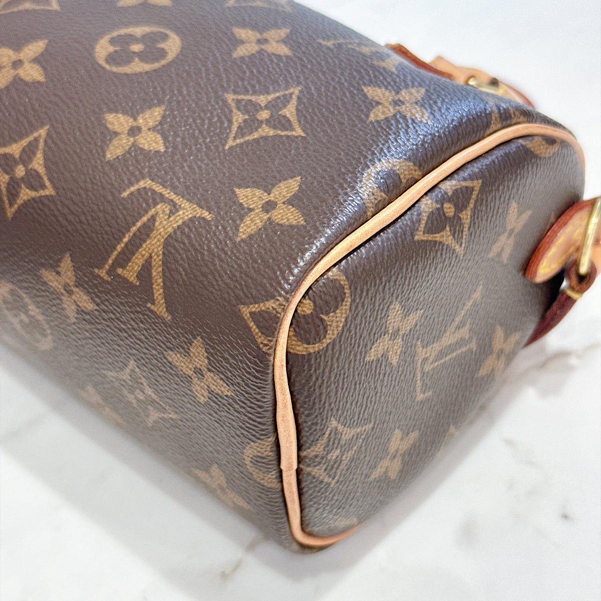 LV Monogram Nano Speedy