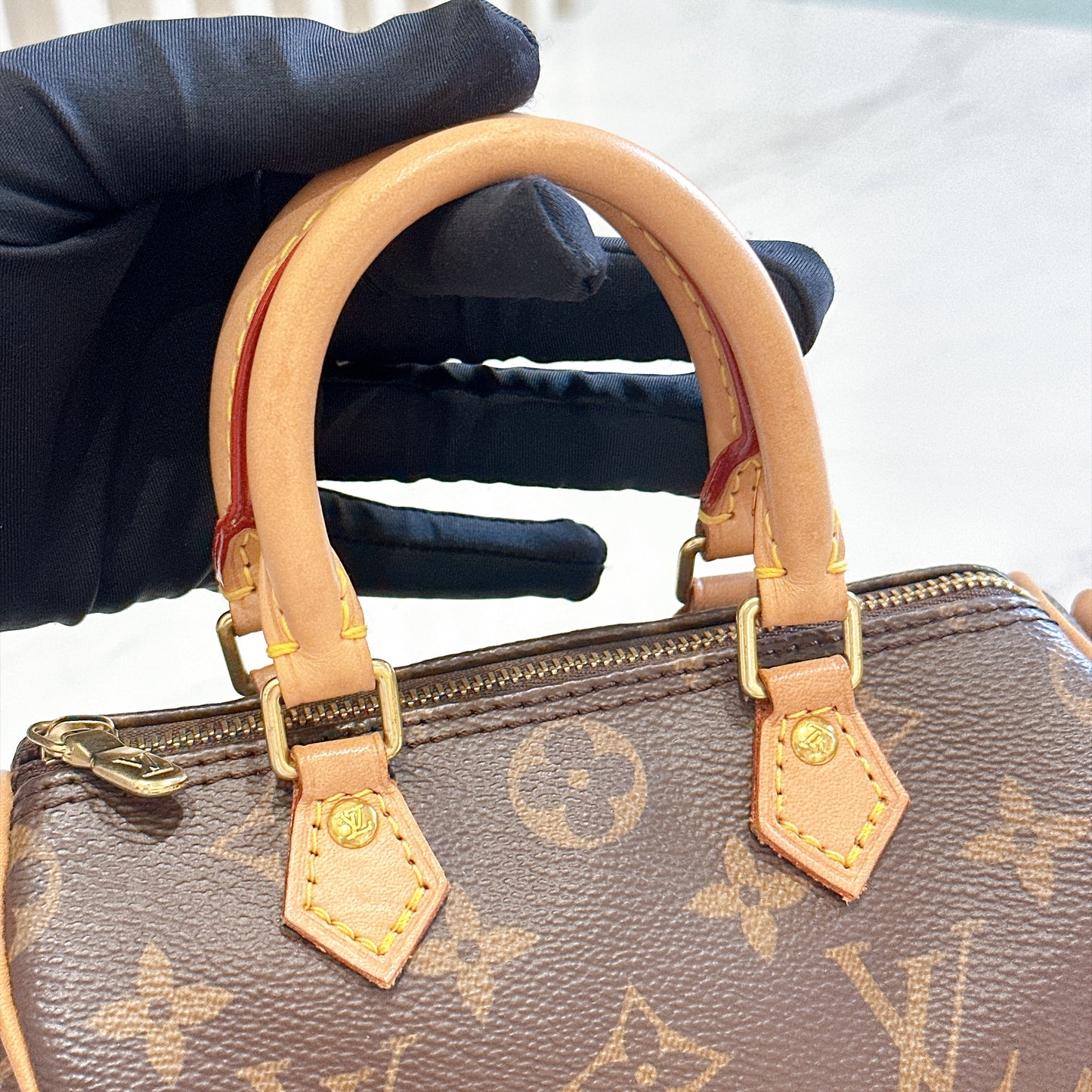 LV Monogram Nano Speedy