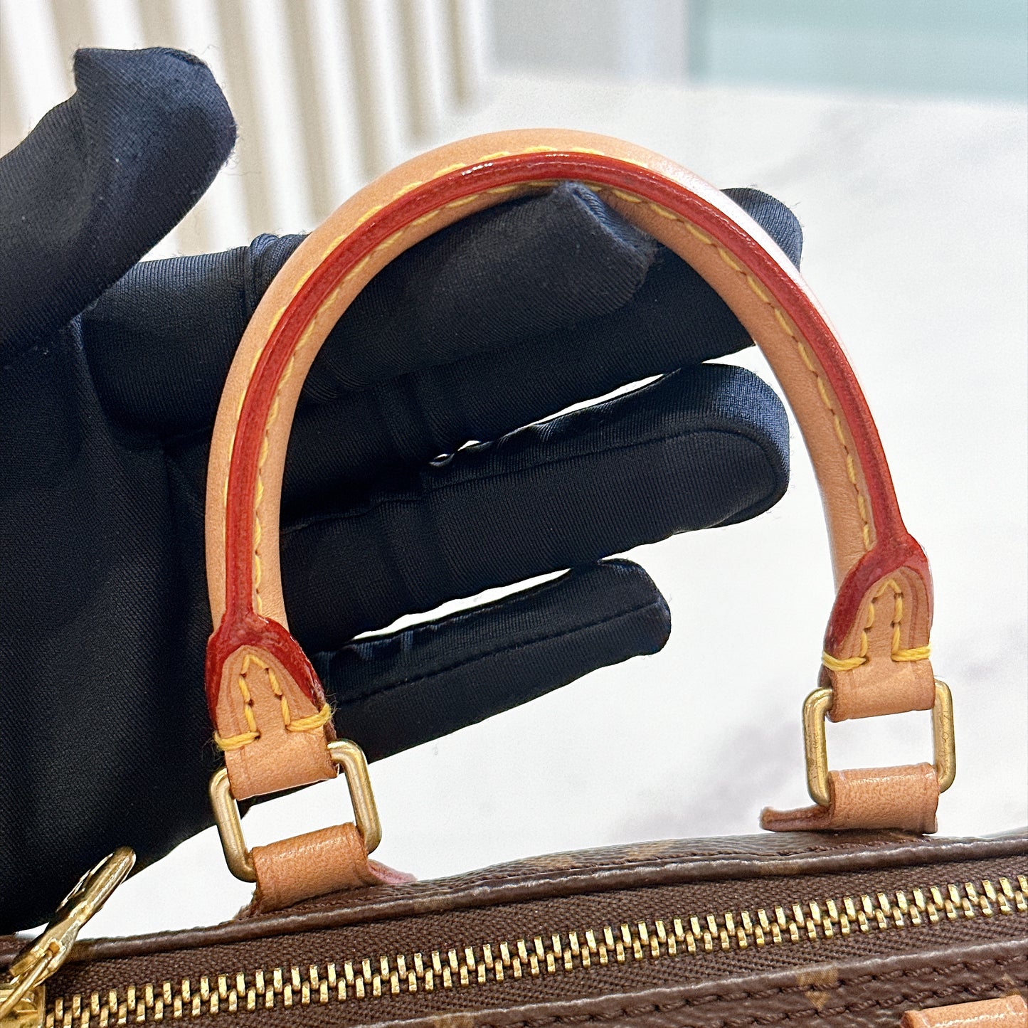 LV Monogram Nano Speedy