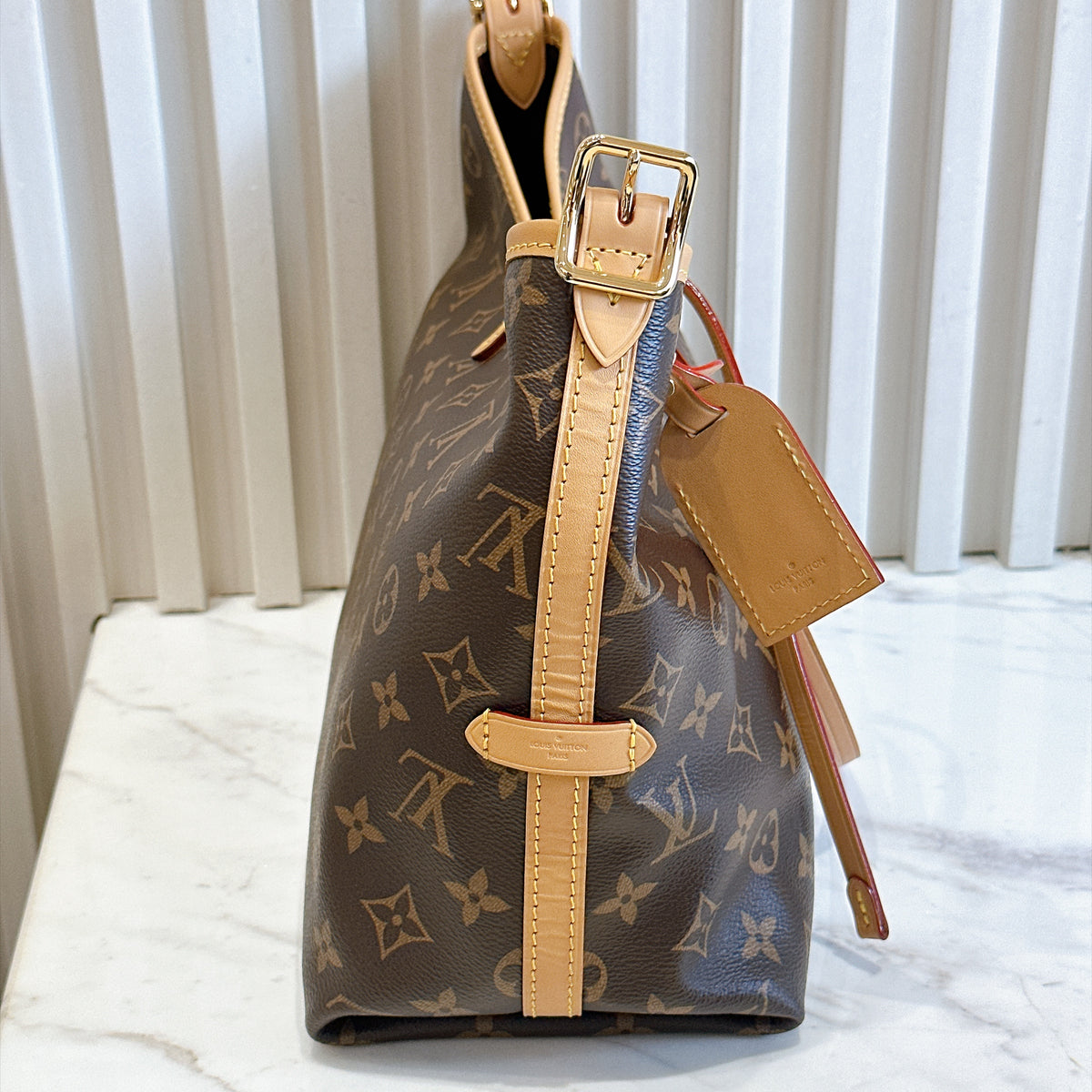 LV Monogram Carryall PM