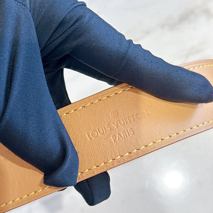 LV Monogram Carryall PM