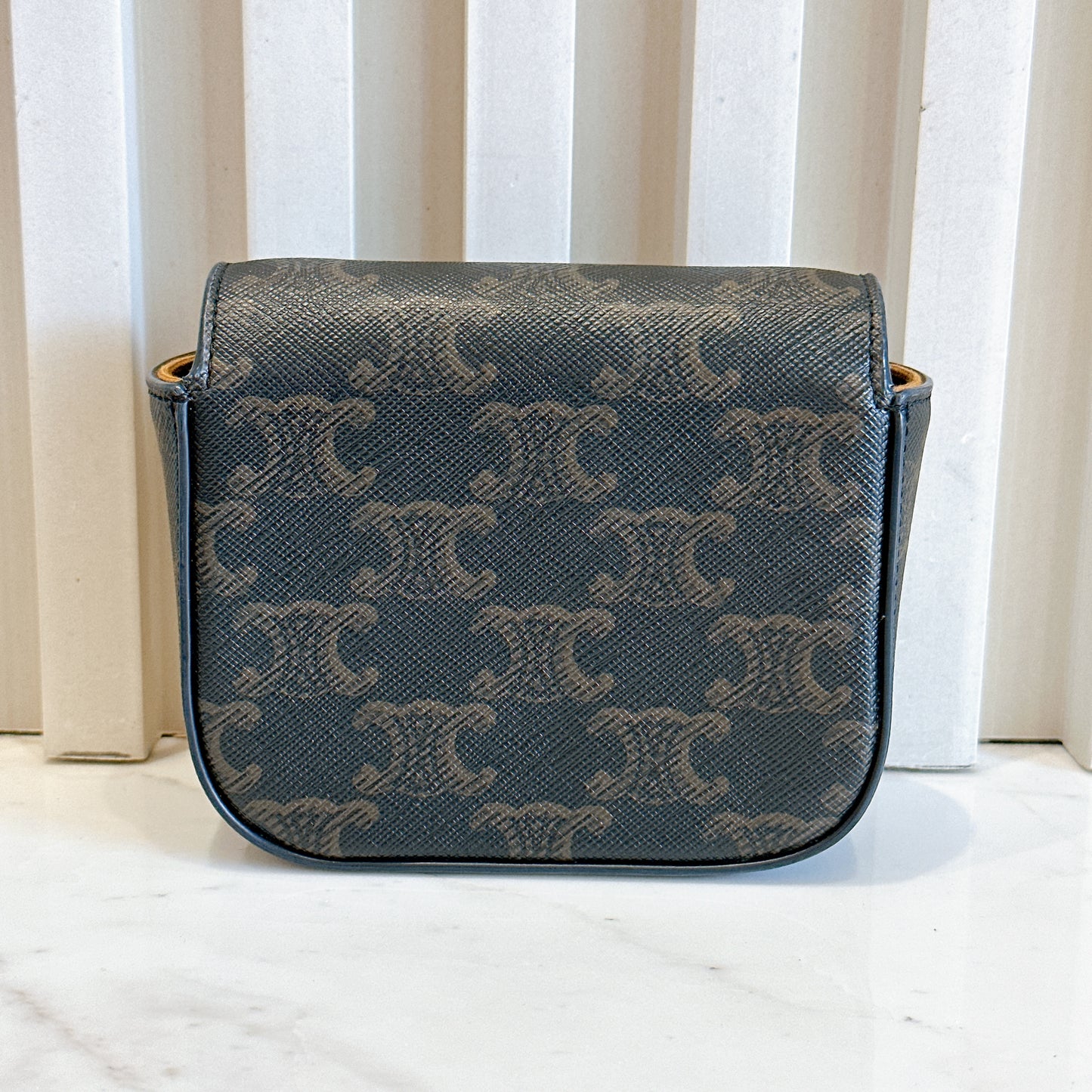 Celine Mini Triomphe Bag