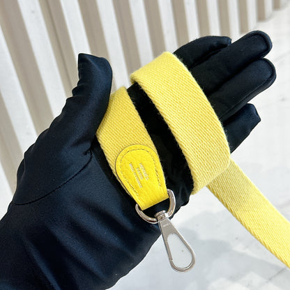 Hermes Mini Evelyn in Limoncello