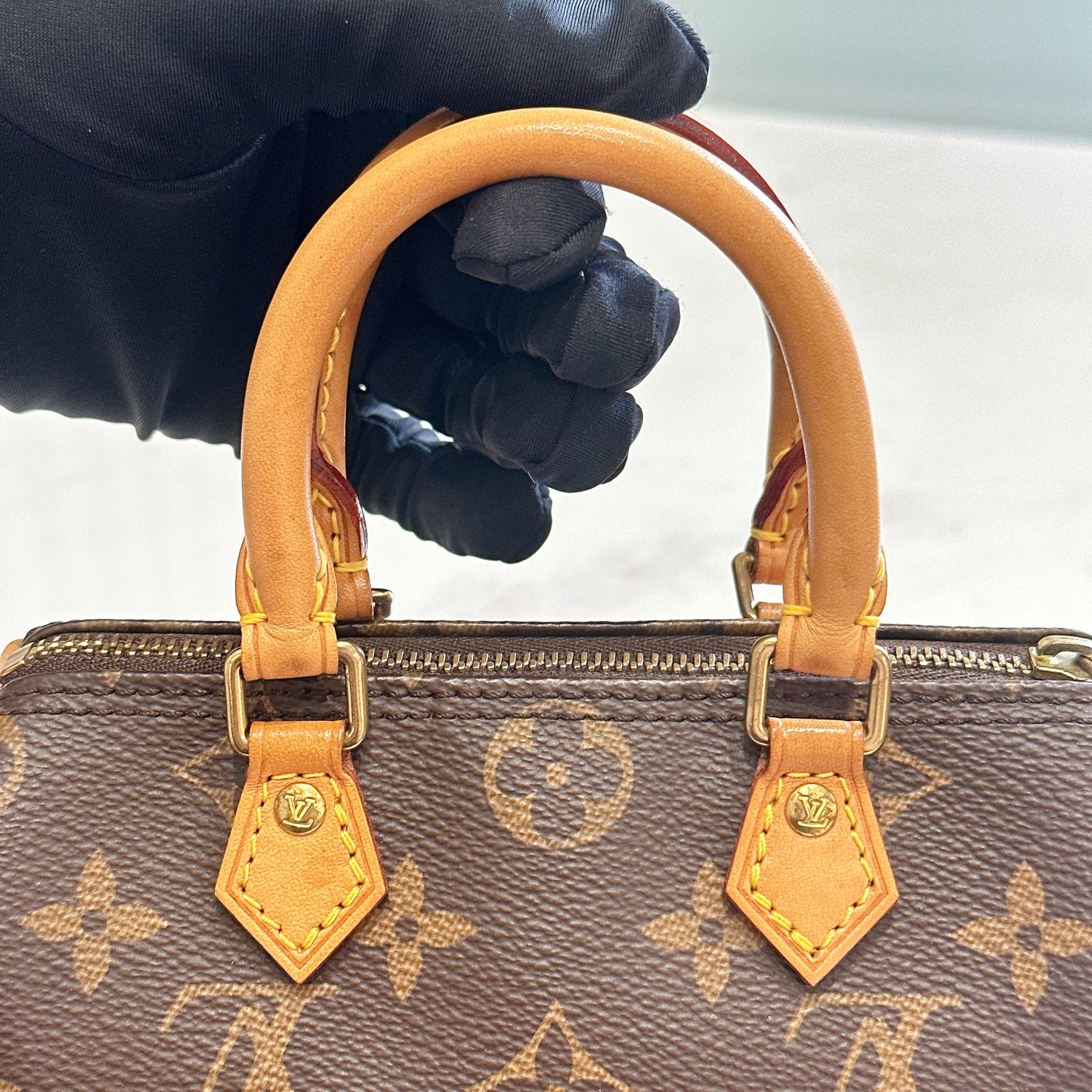 LV Monogram Nano Speedy