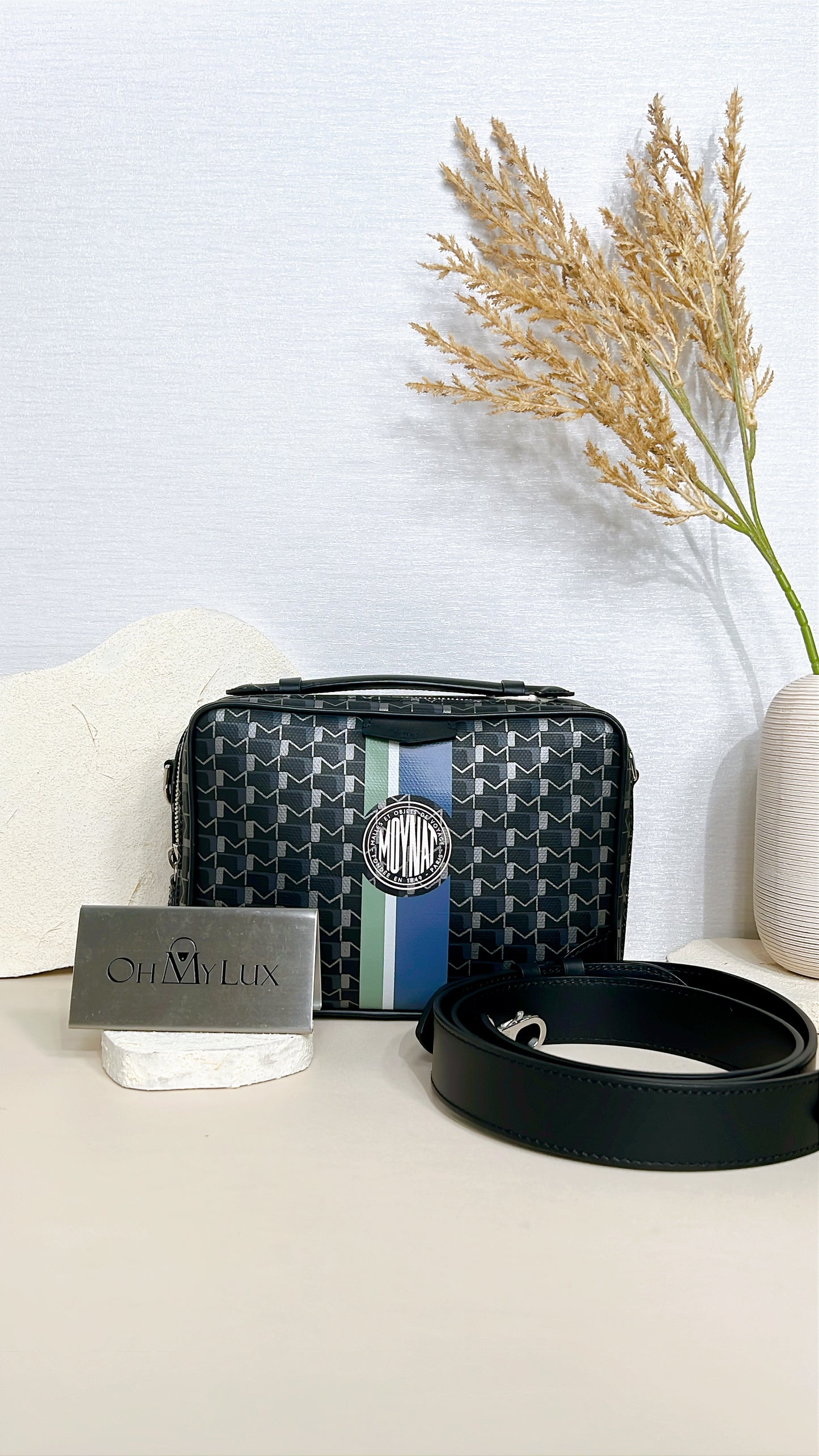 Moynat Toile 1920 Camera Bag