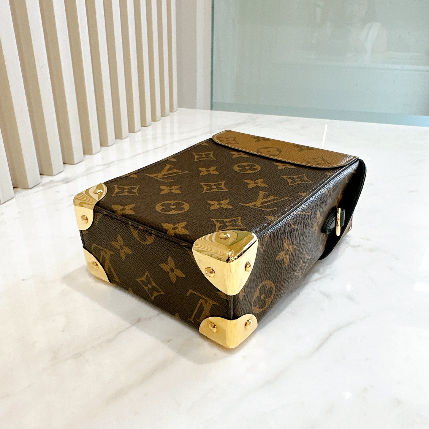 LV Camera Box in Reverse Monogram