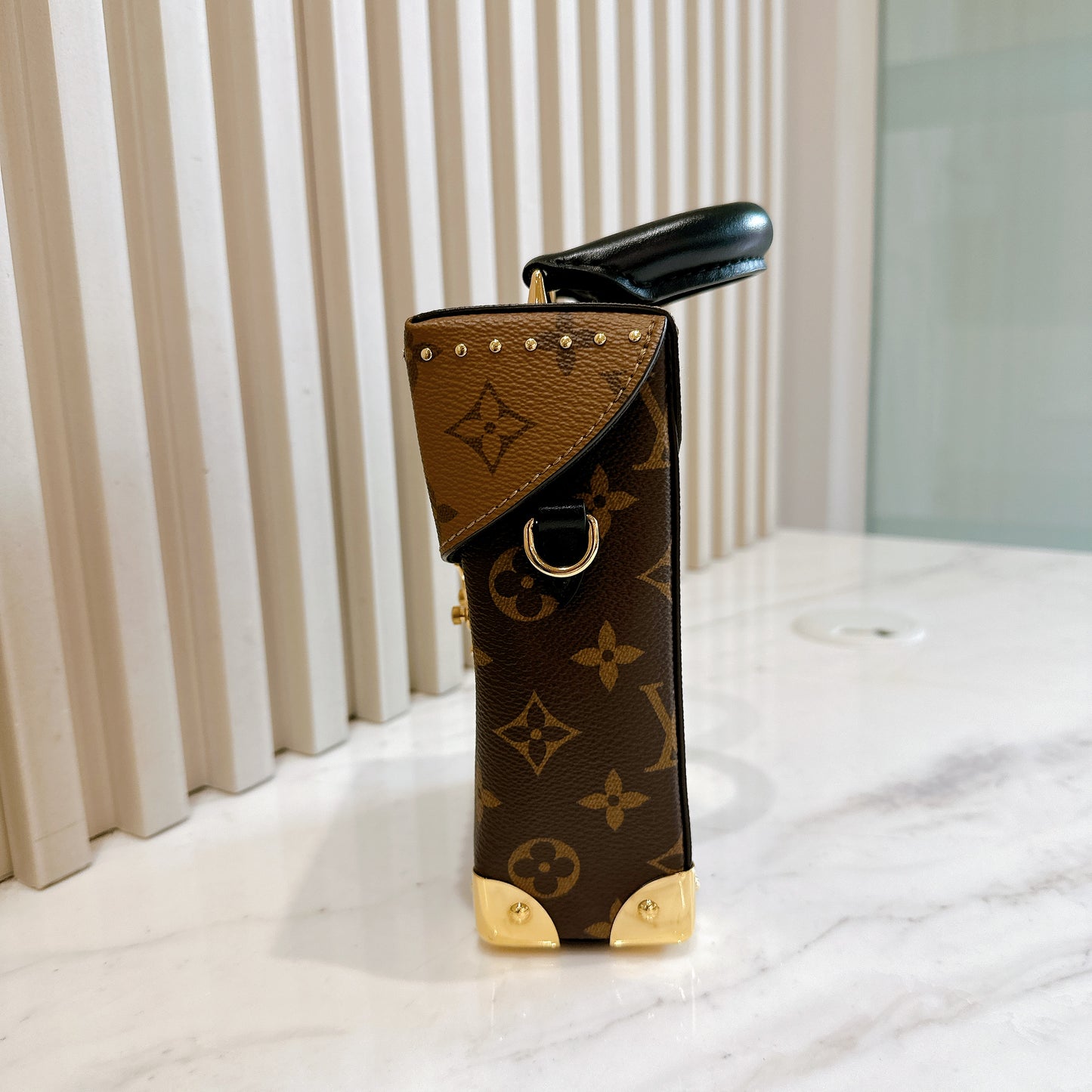 LV Camera Box in Reverse Monogram