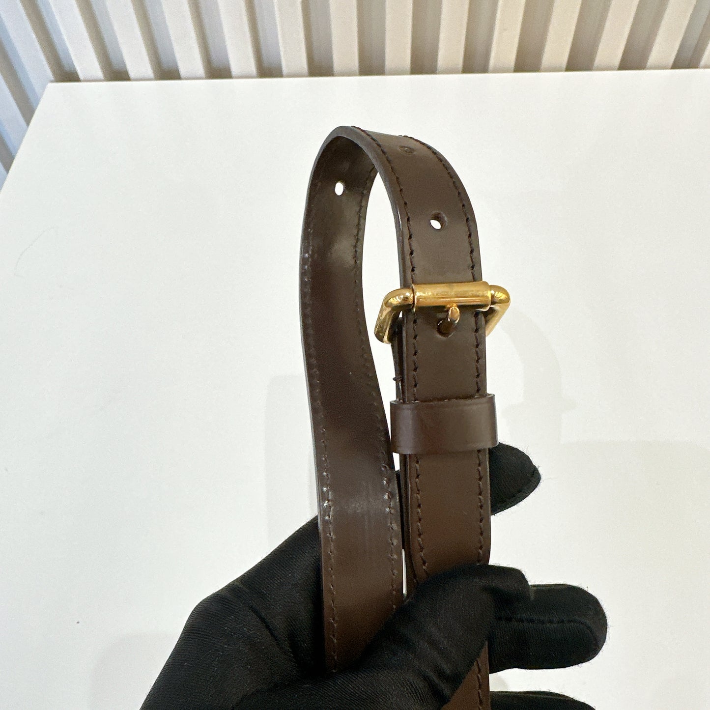 LV Damier Ebene Cabas Roseberry