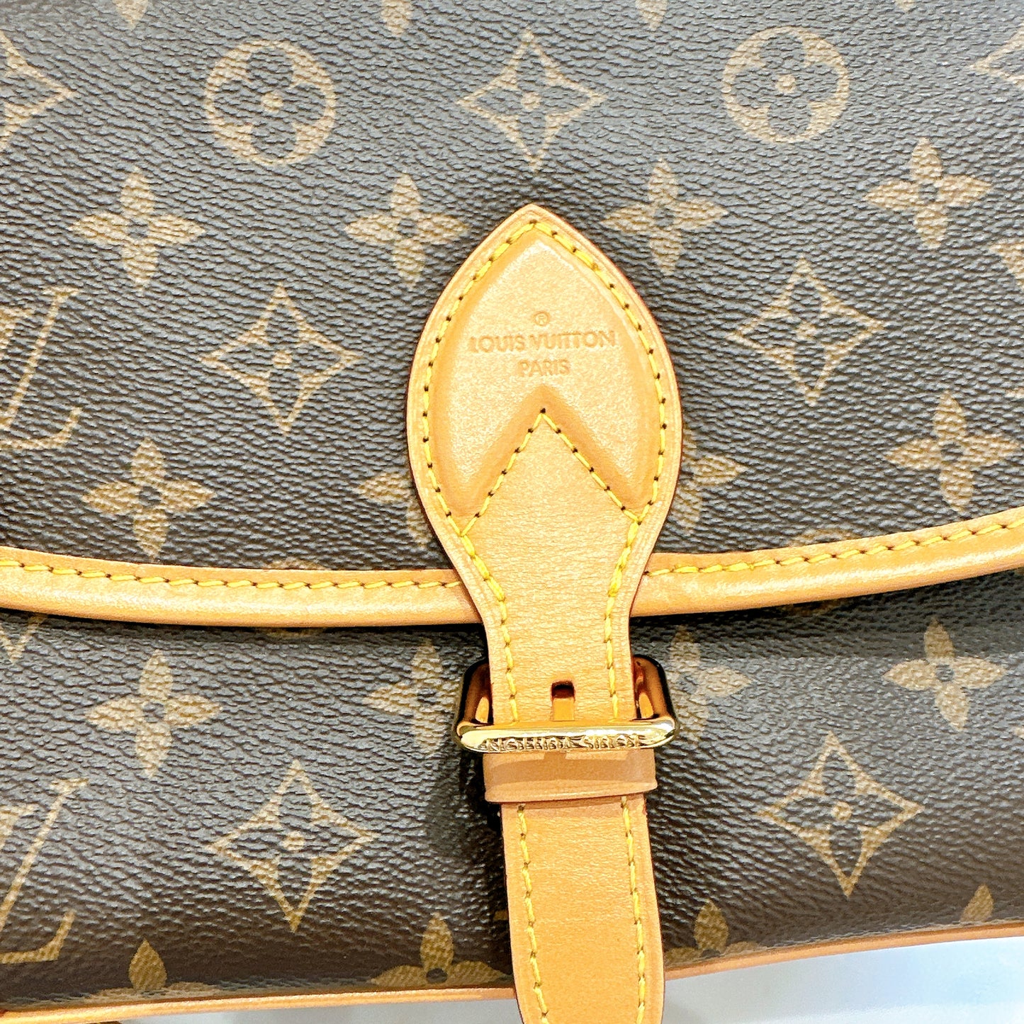 LV Monogram Diane