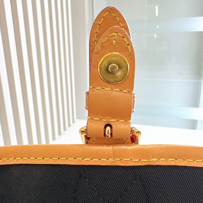 LV Monogram Diane
