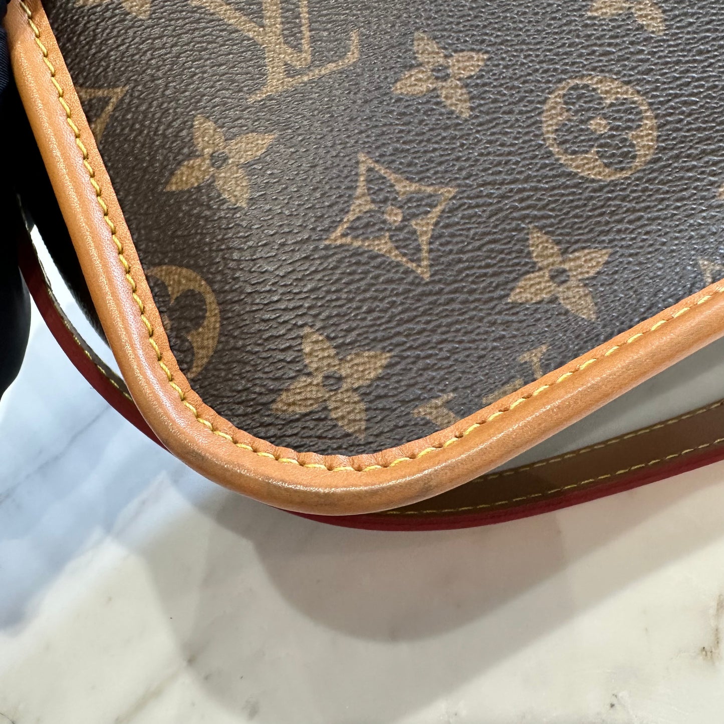 LV Monogram Diane