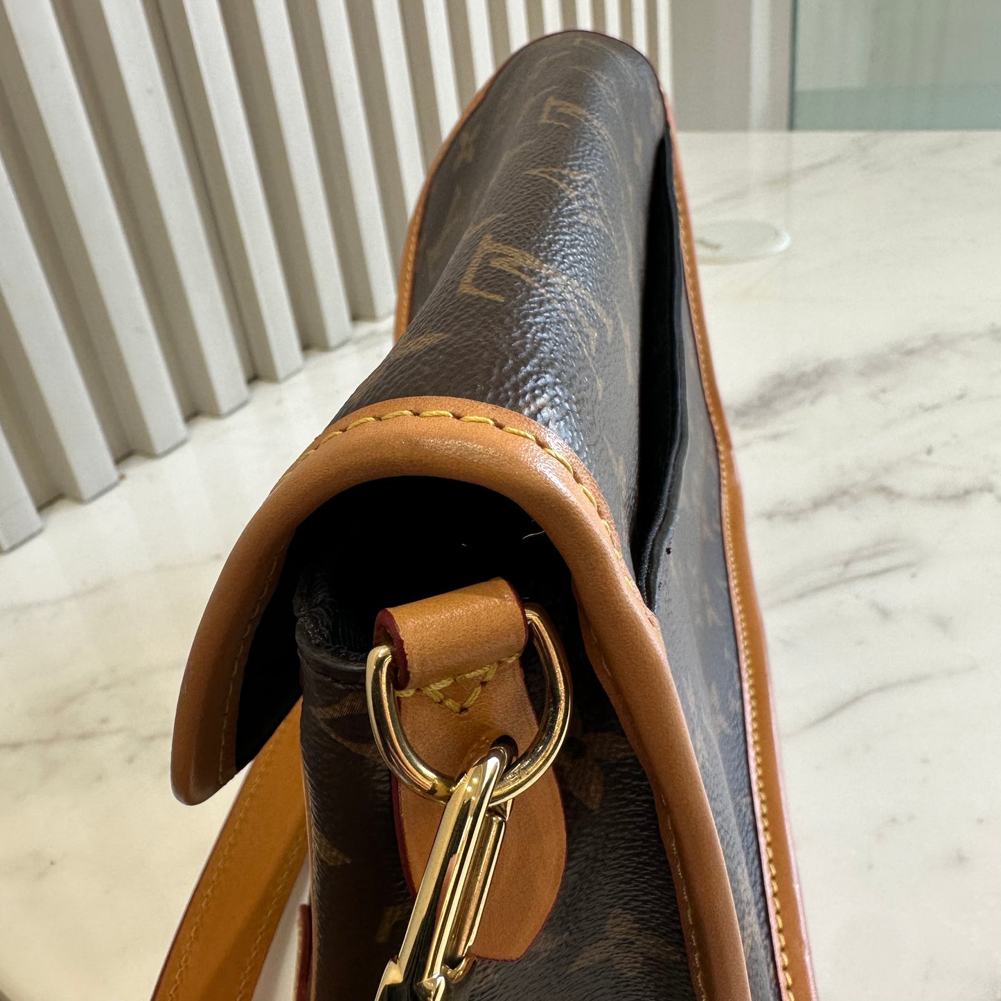 LV Monogram Diane