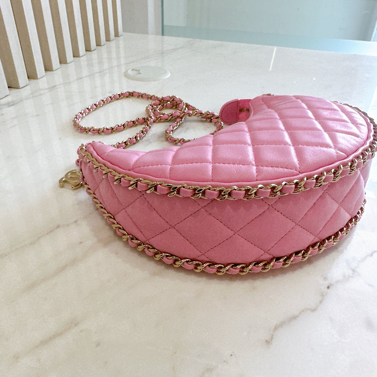 Chanel 22P Loop Hobo in Pink