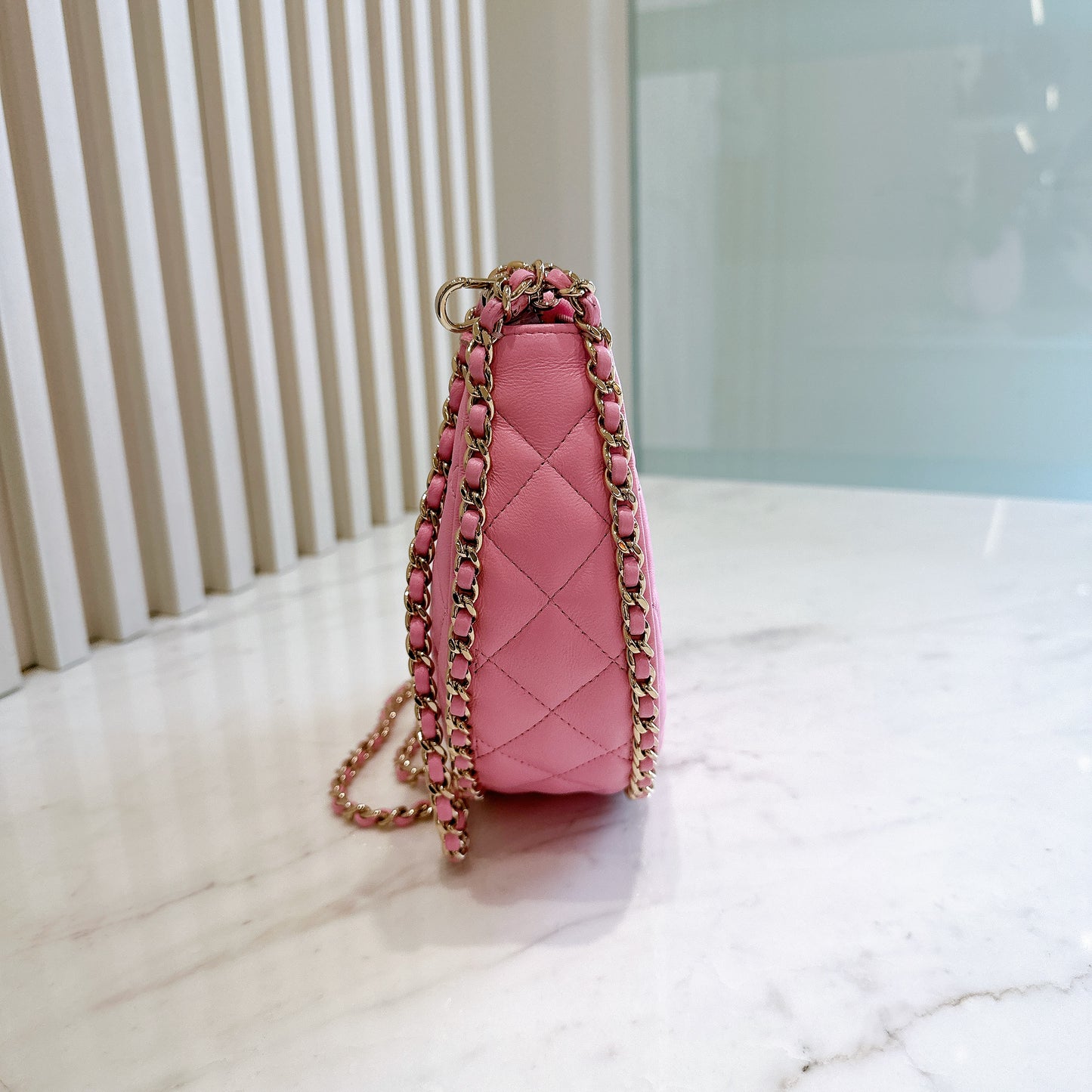 Chanel 22P Loop Hobo in Pink