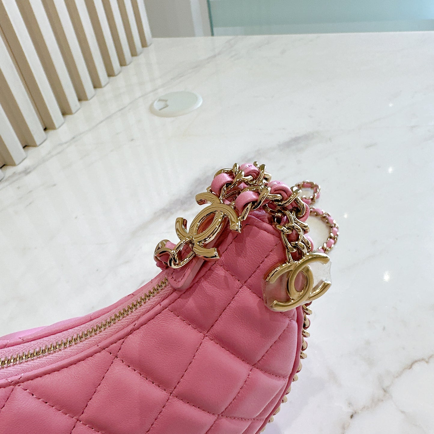 Chanel 22P Loop Hobo in Pink