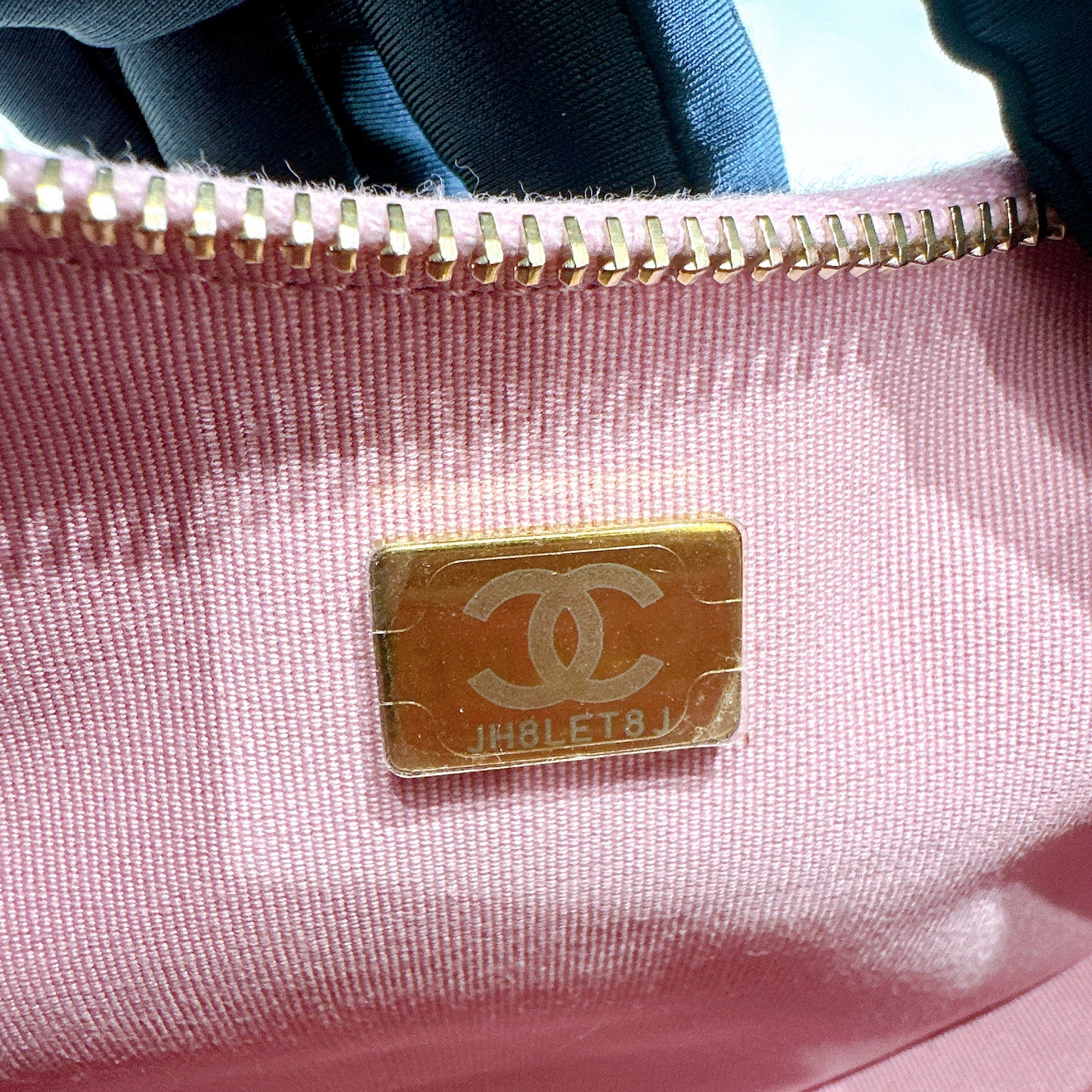 Chanel 22P Loop Hobo in Pink
