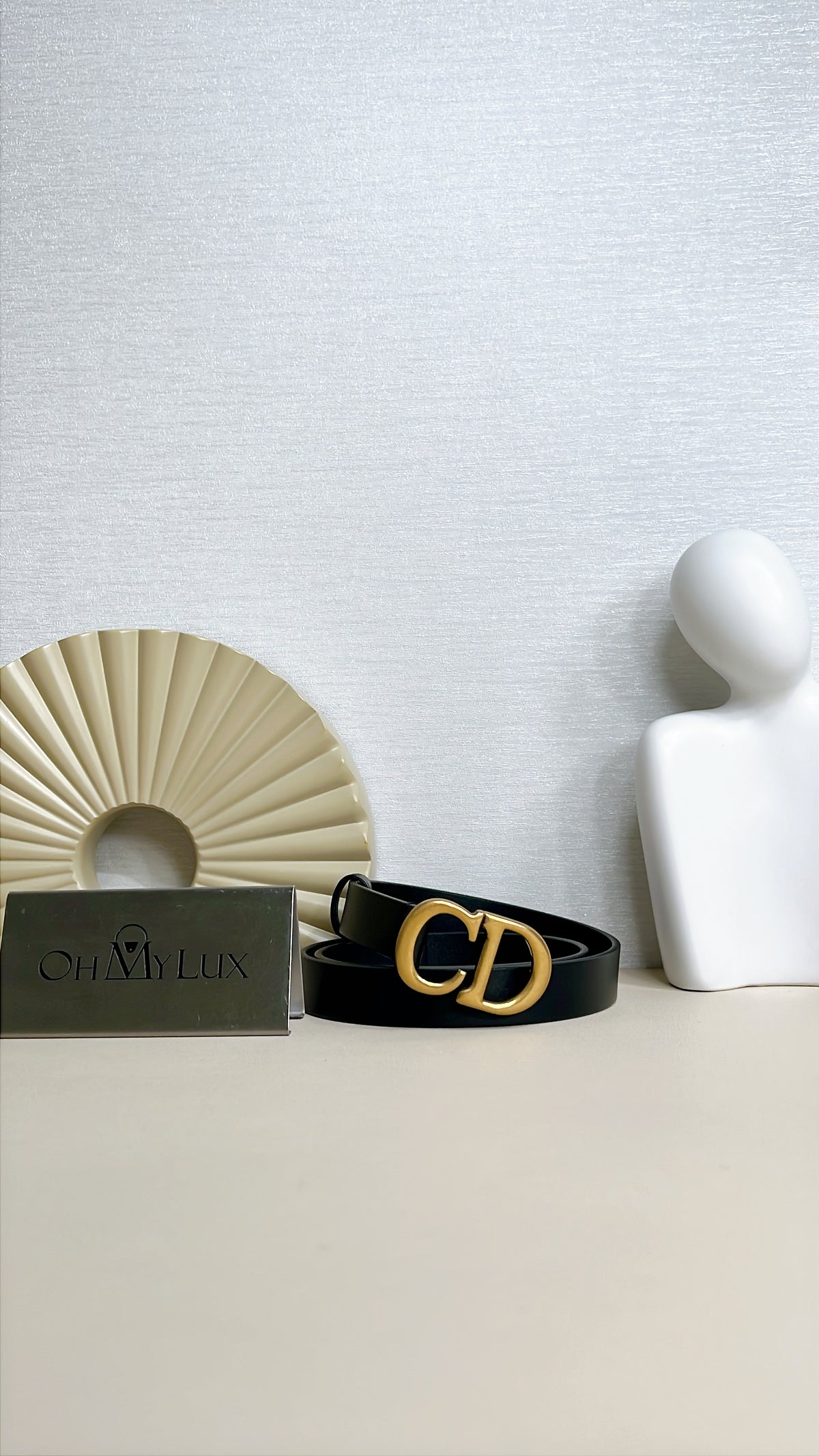 Dior Saddle Belt