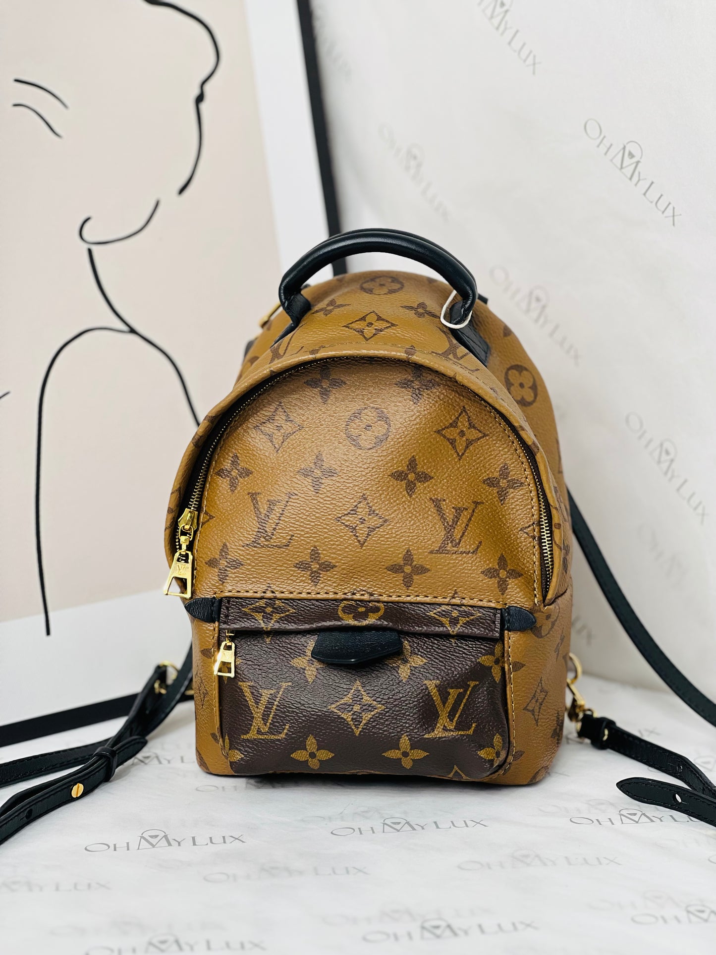 LV Palm Spring Mini in Reverse Monogram