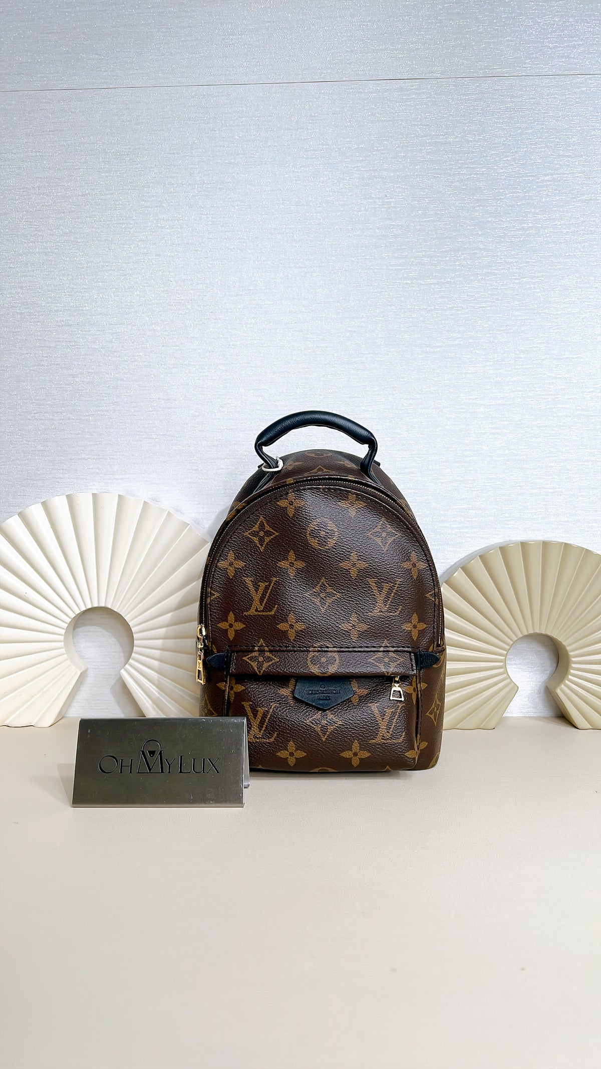 LV Monogram Mini Palm Spring