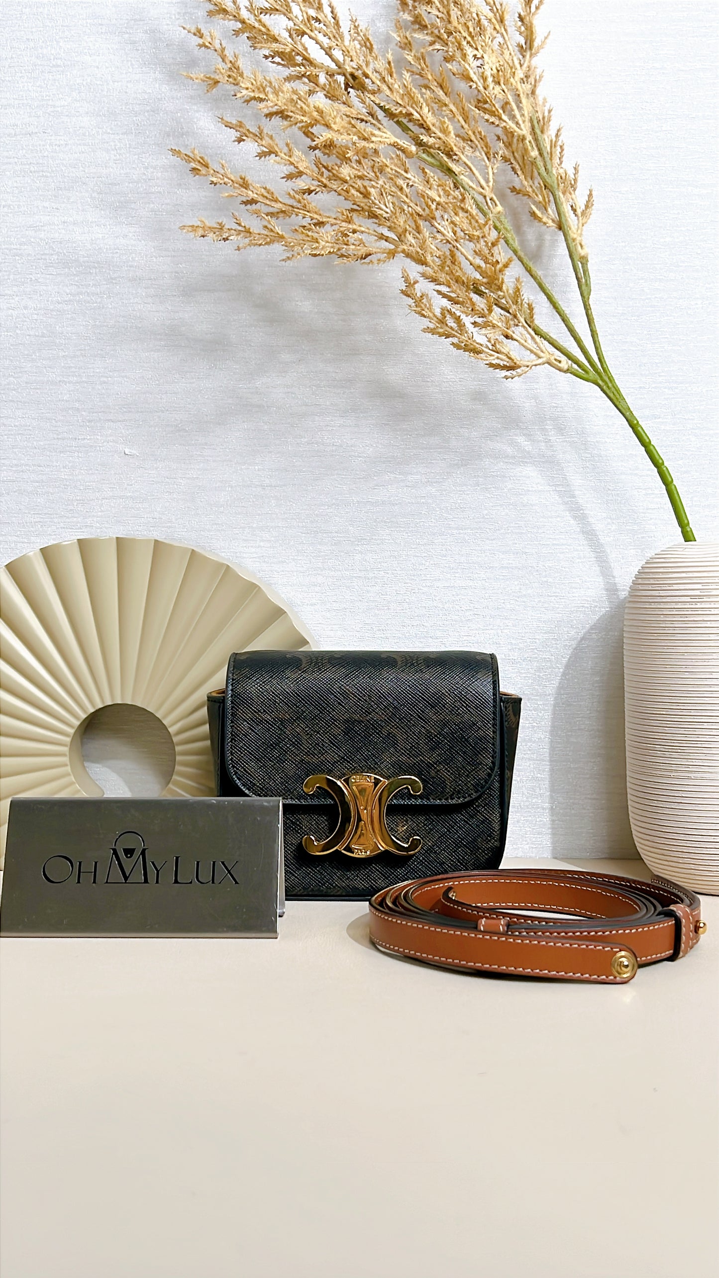 Celine Mini Triomphe Bag
