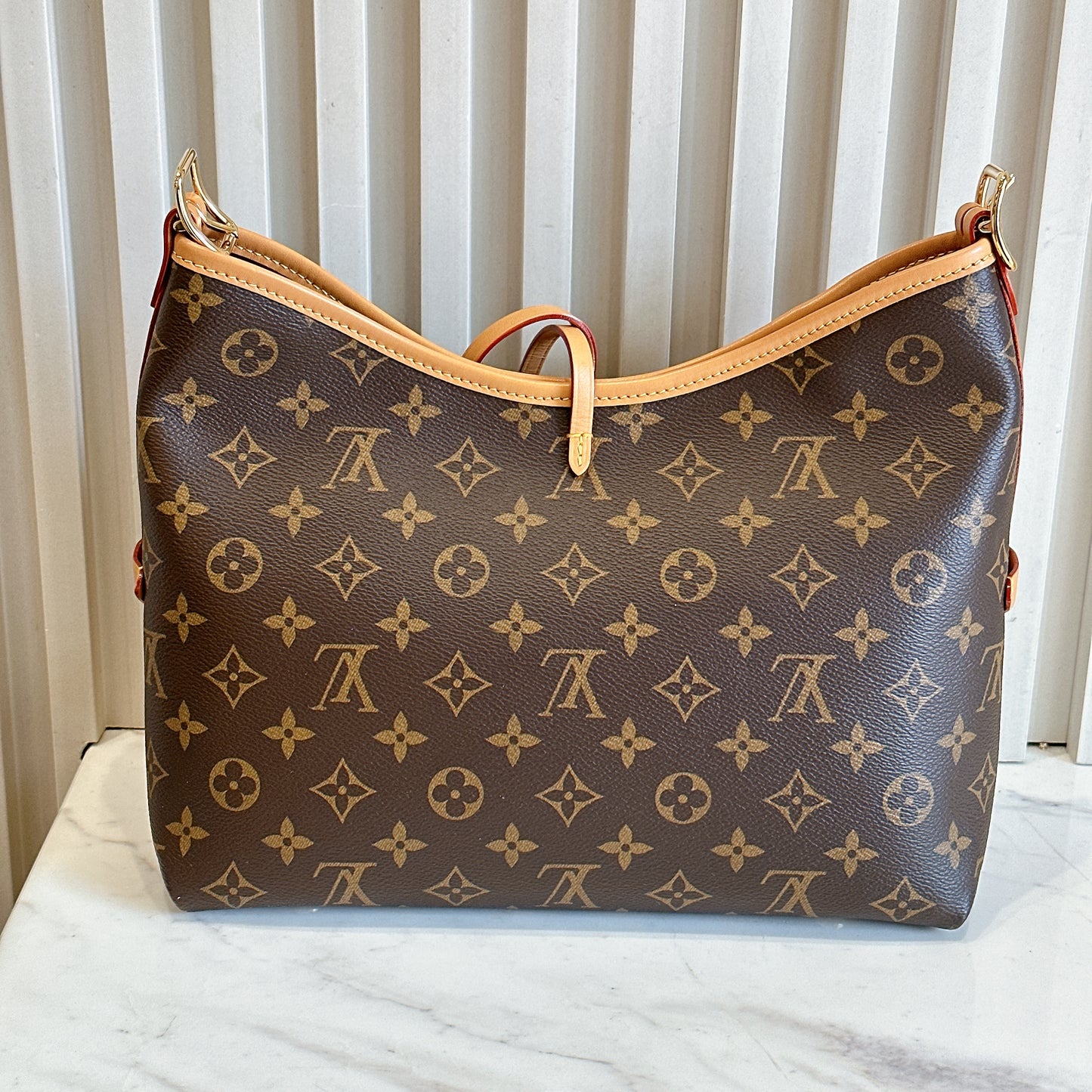 LV Monogram Carryall PM