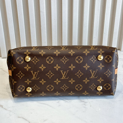 LV Monogram Carryall PM