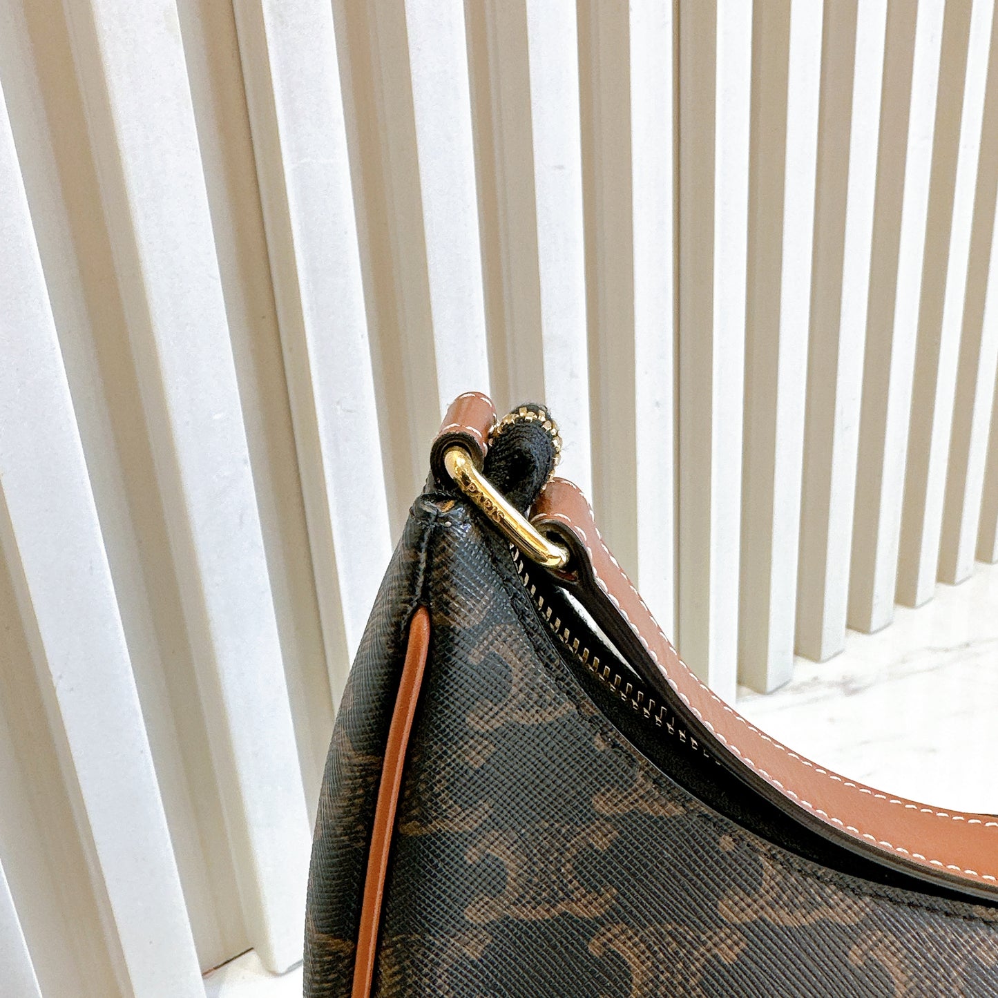 Celine Ava in Tan Triomphe Canvas
