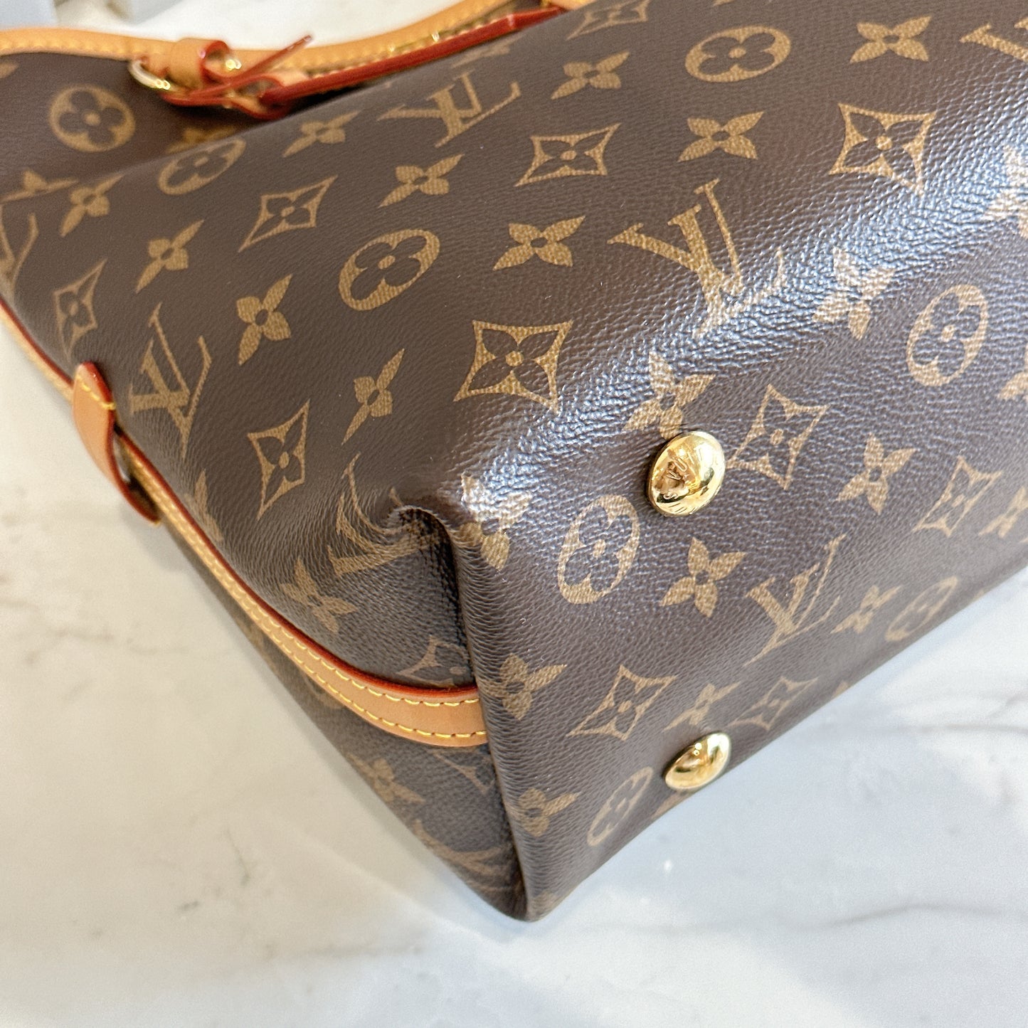 LV Monogram Carryall PM