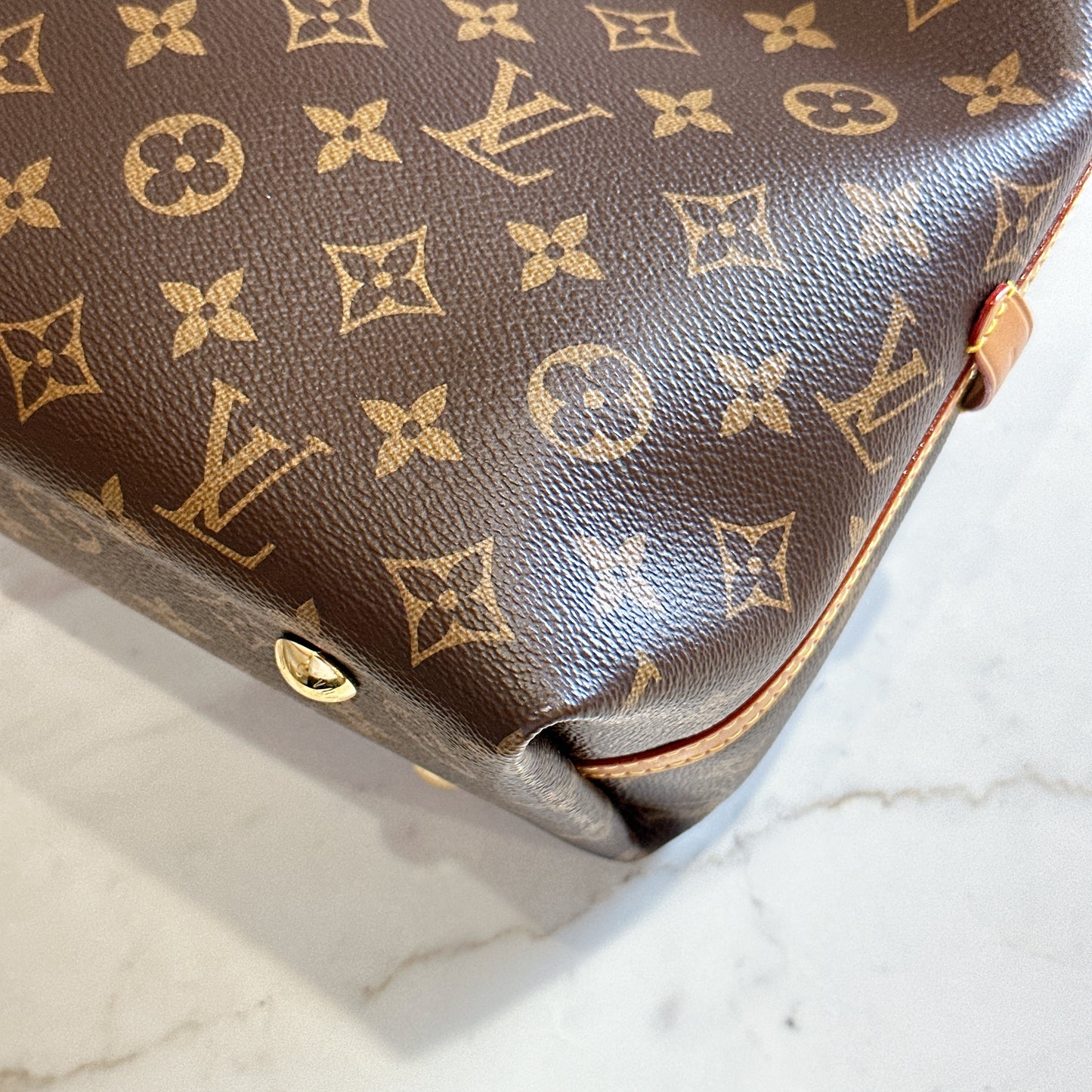 LV Monogram Carryall PM