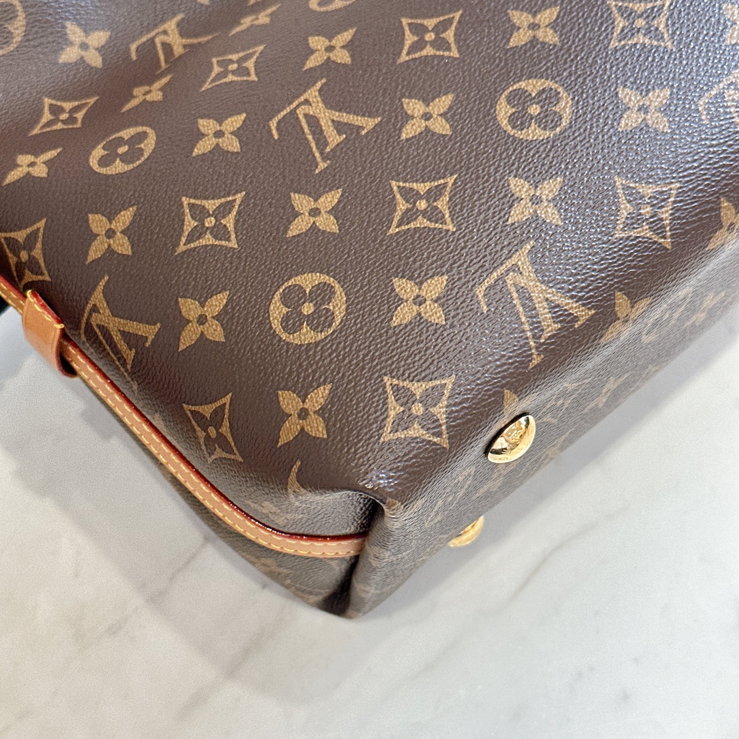 LV Monogram Carryall PM