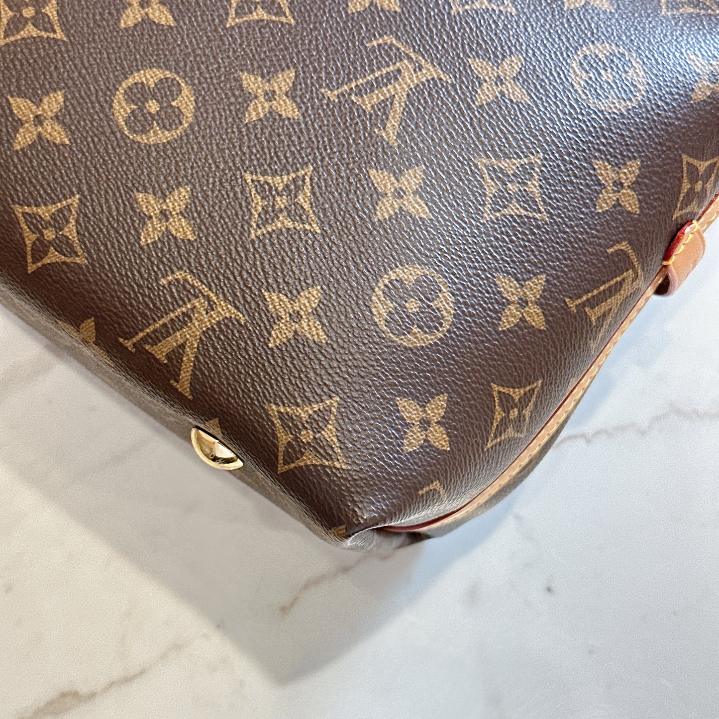 LV Monogram Carryall PM
